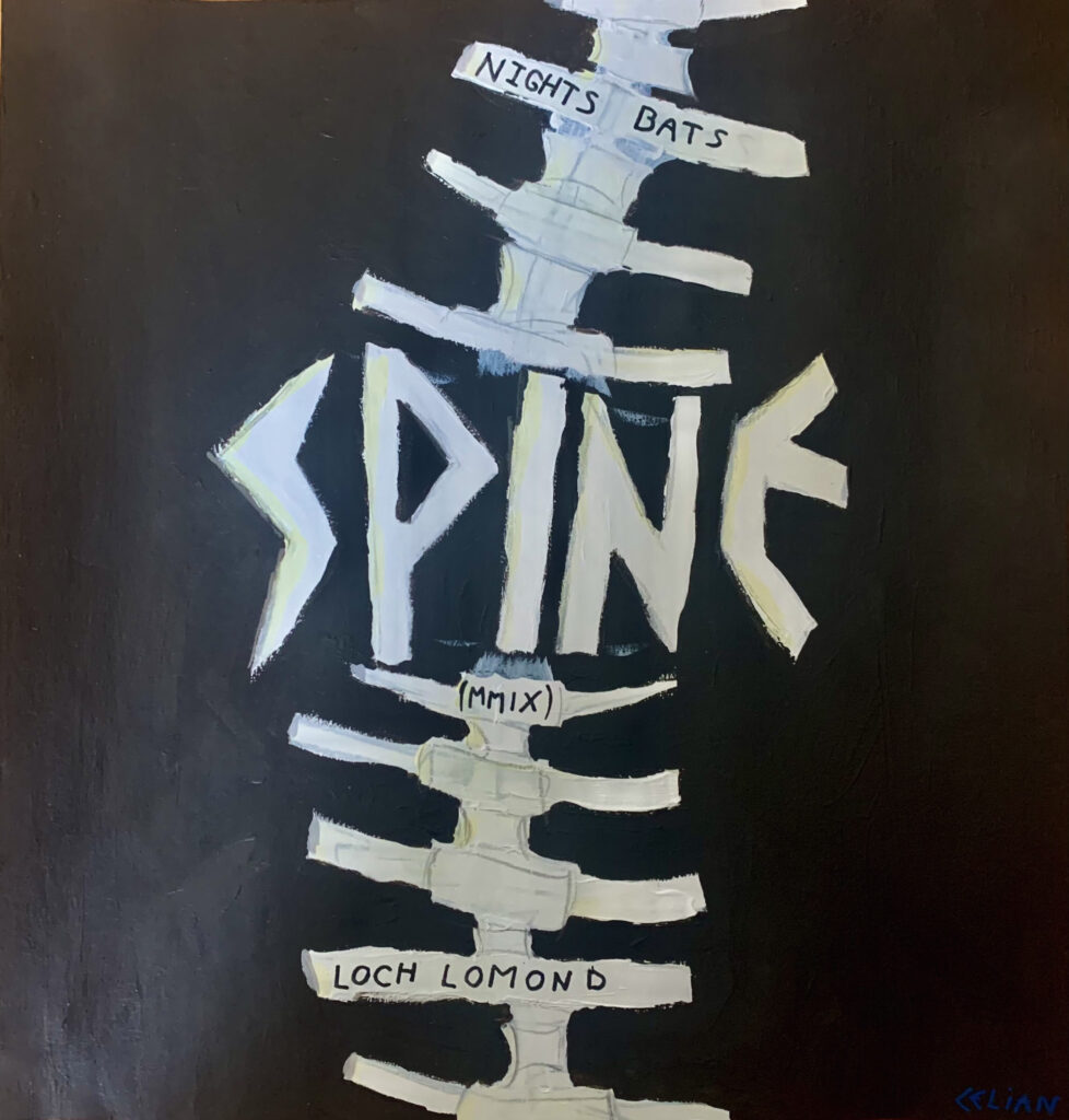 spine cover